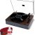 ION Audio Max LP – Vinyl Record Player / Turntable with Built In Speakers, USB Output for Conversion and Three Playback Speeds – Natural Wood Finish