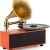 Mini Vinyl Record Player with Classic Yet Modern Design, 2 Built-in Stereo Speakers with Bluetooth Function for Entertainment and Home/Office Decoration (Orange)