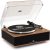 ANGELS HORN Vinyl Record Player, Bluetooth Turntable with Built in Speakers Phono Preamp, High Fidelity Turntables for Vinyl Records with Magnetic Cartridge AT-3600L, Belt Drive 2-Speed