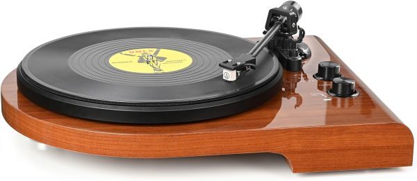 Record Player Turntable with Double Bluetooth Connectivity and Build in Preamp,AT-3600L Cartridge,Vinyl Player with USB Recording,Pitch Speed Adjustment and Counter Weight