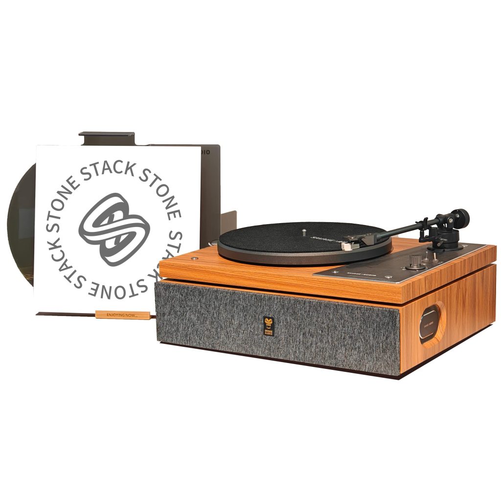 Savage The one Record Player, High Fidelity Vinyl Record Player with Builtin Speakers,