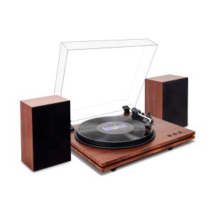 HONGUT Record Players for Vinyl with Speakers, Belt Drive 2 Speed Bluetooth Turntable, Adjustable Counterweight Vinyl Player Support RCA, Stereo System for Home, Black