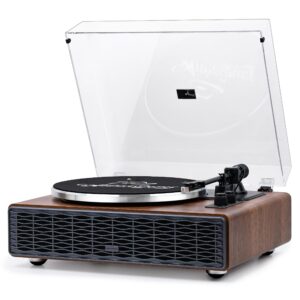 Annesburg Vinyl Record Player with Speakers, Bluetooth Turntable for Vinyl Records, High Fidelity Belt Drive 33/45 RPM, Magnetic Cartridge AT-3600L, Retro Wood Design