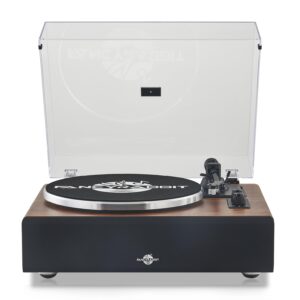 Record Player with Speakers,Turntables for Vinyl Records with Magnetic Cartridge for Home Decoration & Entertainment,Vinyl Record Player Will be a for Birthday and Christmas