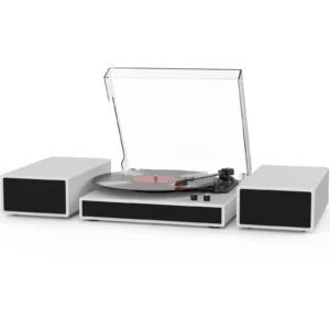 Vinyl Record Player with Dual Stereo Bookshelf Speakers Vintage Turntable with Bluetooth Wireless Playback Belt Drive 3-Speed Playback Record Player Support RCA Out Auto Stop (Black)